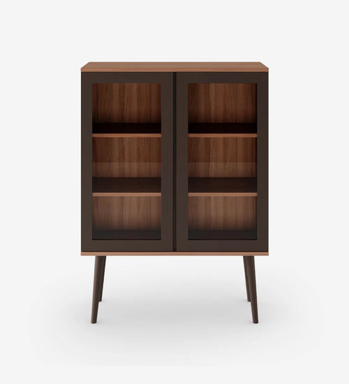Compact Glass Display Cabinet with Wooden Finish (Modern Storage Unit)